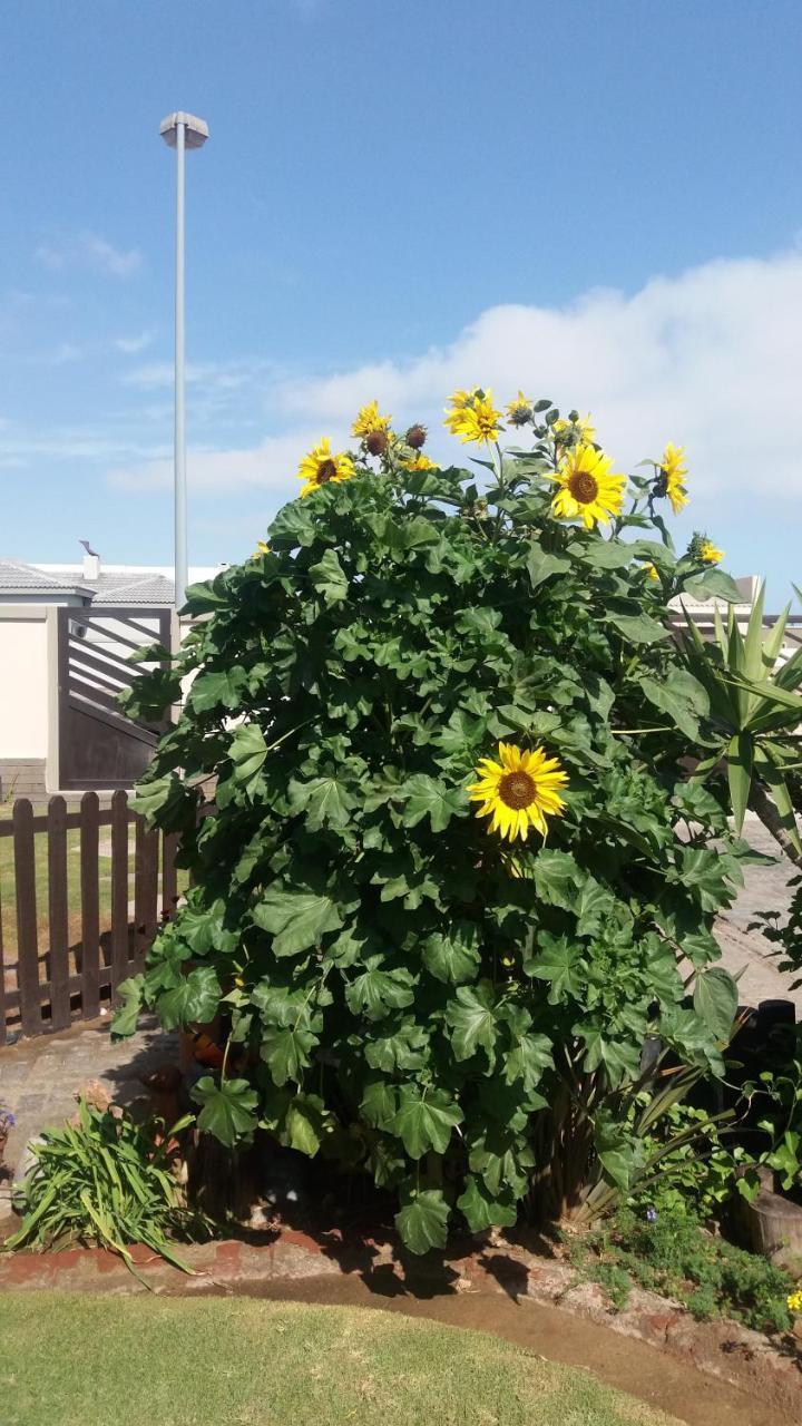 Sunflower Self-Catering Walvis Bay Bagian luar foto